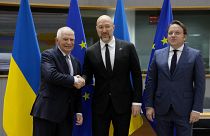 Верховный представитель Евросоюза по внешней политике и руководители стран-кандидатов на вступление в ЕС на фоне флага Украины