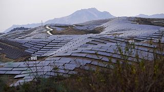 The West fears China is dumping low-cost solar panels.