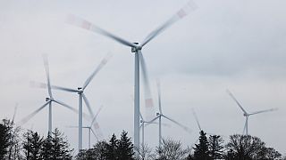 Turbine eoliche a Sprakebuell, Germania, 14 marzo 2024