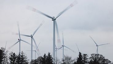 Turbine eoliche a Sprakebuell, Germania, 14 marzo 2024