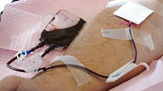 Kan bağışı