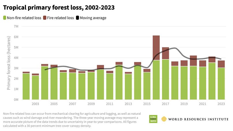 A graph of Tropical primary forest loss from 2002 to 2023.