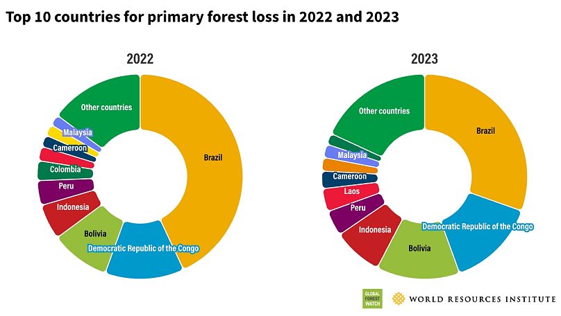 The top 10 countries for primary forest loss in 2022 & 2023.