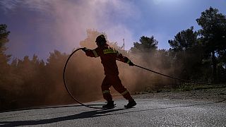 Exercice de pompiers en Grèce, jeudi 4 avril 2024.