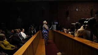  South Africa: former Speaker of Parliament released on bail