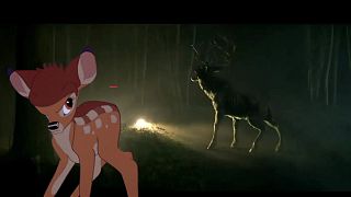 Oh ciervo: ¿Por qué hay ahora una película de terror de Bambi?   