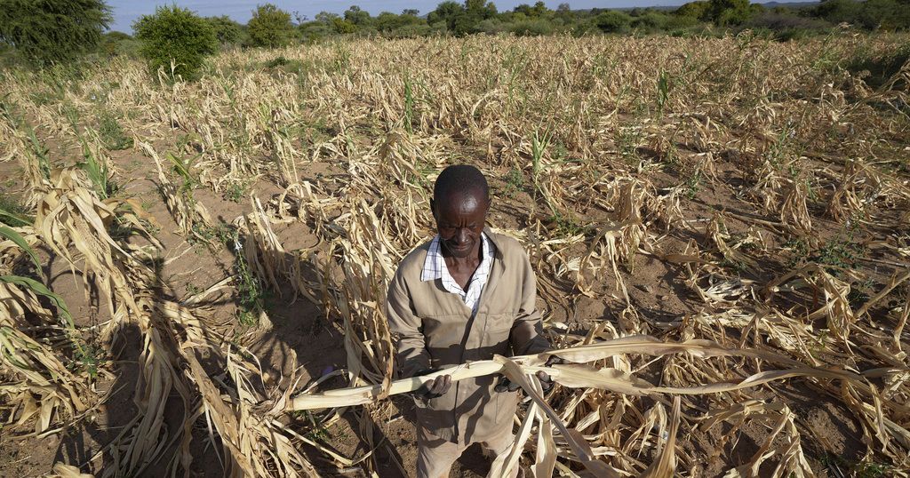 Le FMI met en garde contre l'impact des chocs climatiques en Afrique