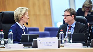 Ursula von der Leyen has appointed her chief of staff, Bjoern Seibert, as campaign manager.