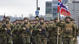 Норвежские солдаты маршируют во время военного парада, посвященного 105-й годовщине создания вооруженных сил Литвы в Вильнюсе, 25 ноября 2023.