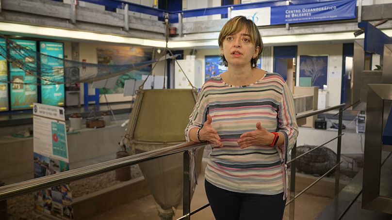 Beatriz Guijarro González, Investigadora en pesquerías mediterráneas, COB-IEO CSIC