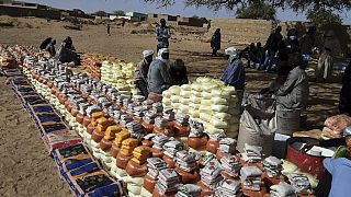مساعدات غذائية وإنسانية-دارفور