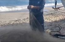 صيادو السمك في ساحل غزة