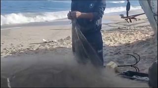 صيادو السمك في ساحل غزة