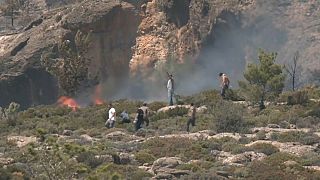 Des dizaines d'incendies se sont déclenchés ce week-end en Crète.