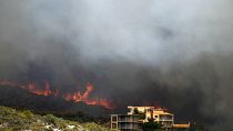 Лесной пожар в районе Афин, 16 августа 2021.