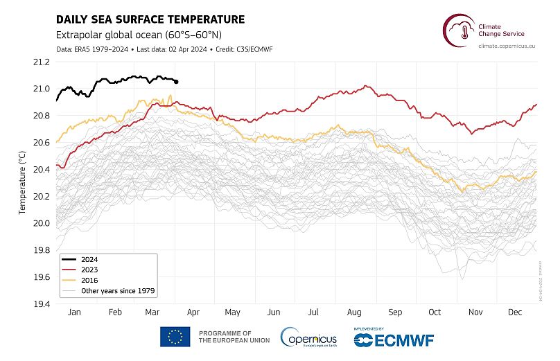 Temperatura diária da superfície do mar (°C) média no oceano global extra-polar (60°S-60°N) para 2016 (amarelo), 2023 (vermelho) e 2024 (linha preta).