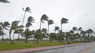 SA: Extreme winds and rainfall wreak havoc across coastal province, killing at least 1