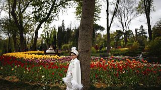 Tulipánfesztivál Isztambulban 2018. április 18-án