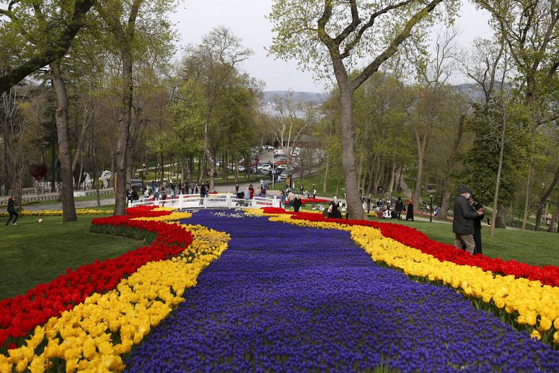 Blühende Tulpen im Emirgan-Park in Istanbul.