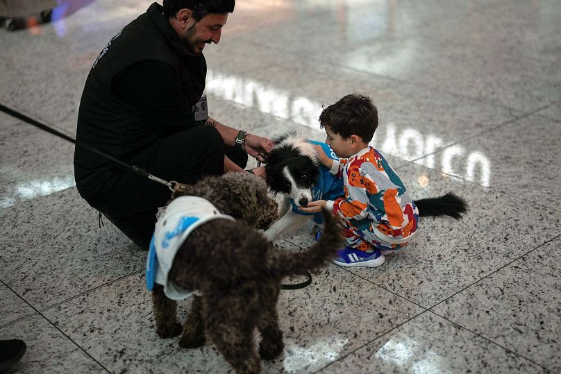 مسافرون يلعبون مع الكلاب في صالة المطار