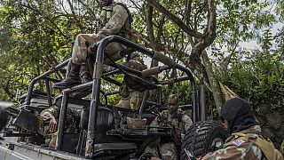 Three Tanzanian soldiers killed in Democratic Republic of Congo