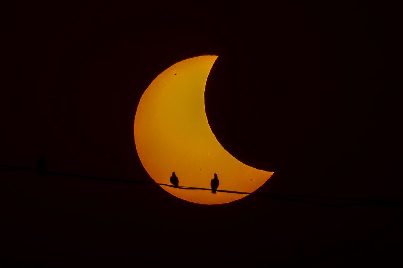 Pigeons are silhouetted as the sun forms a crescent during a partial solar eclipse in New Delhi, India.