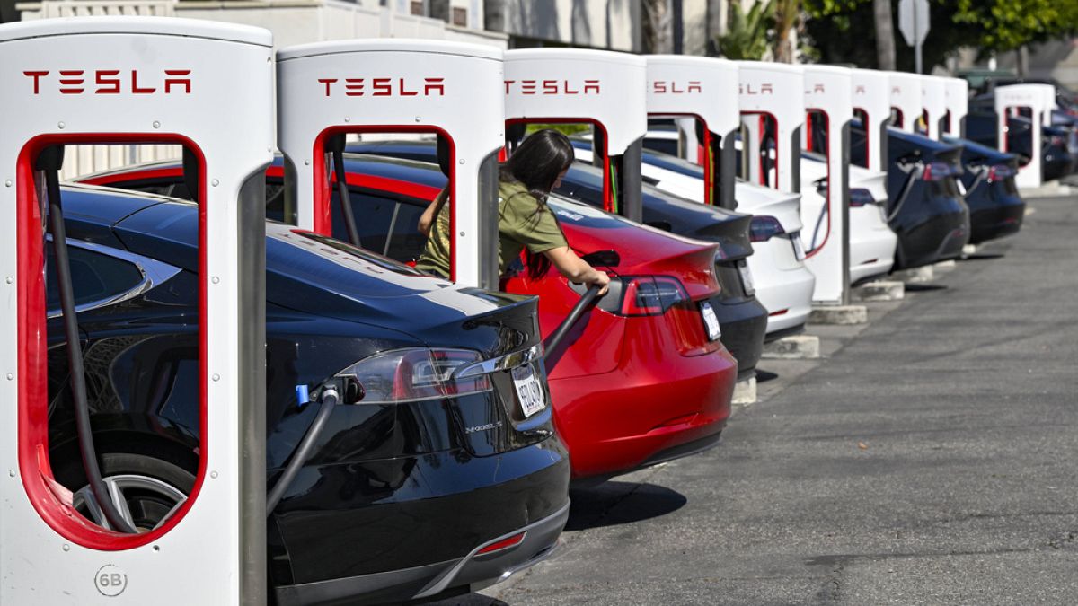 Europe's Tesla fans fear brakes put on plans for cheaper electric car thumbnail
