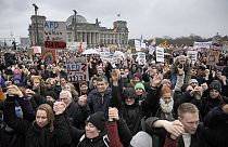 Демонстрация против АдГ, Берлин, февраль 2024