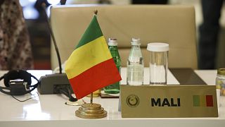 Mali bans political party activities as calls for elections grow 