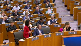 Les eurodéputés veulent une inscription de l'IVG dans la Charte des droits fondamentaux