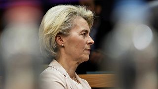 Ursula von der Leyen está a tentar um novo mandato de cinco anos no topo da Comissão Europeia, a instituição mais poderosa do bloco...
