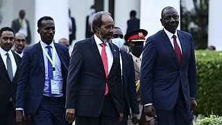 Kenya proposes treaty to ease Somalia-Ethiopia tensions