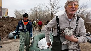 عناصر الانقاذ تجلي رجلا وقطته في منطقة غمرتها الفيضانات في أورينبورغ، روسيا