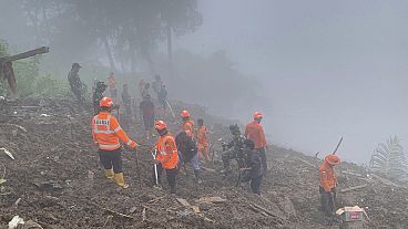 Endonezya'nın Sulawesi Adası'nda meydana gelen toprak kayması sonucu kaybolan kişileri arama kurtarma faaliyetleri devam ediyor