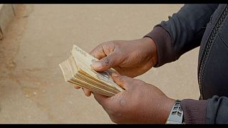 Zimbabwe : peu d'enthousiasme pour la nouvelle monnaie locale