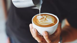 يقدر الباحثون أن حبوب القهوة العربية جاءت من التهجين الطبيعي لنوعين آخرين من القهوة منذ أكثر من 600 ألف عام.