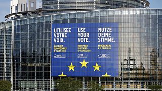 Выборы в Европейский парламент пройдут с 6 по 9 июня.