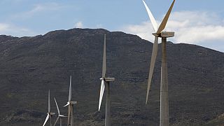 Énergie : 2023, année record pour les installations éoliennes