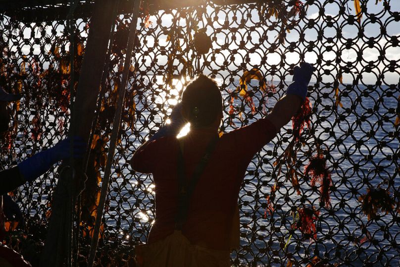 A fisherman holds the net aboard a trawler fishing at the limits of the French-UK waters, off Granville, November 2021