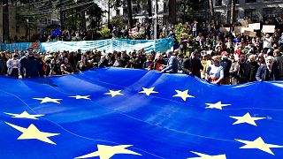 A União Europeia instou a Geórgia a não aprovar uma lei controversa sobre "influência estrangeira".