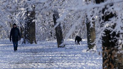 صربي يسير في إحدى الحدائق اليت غطتها الثلوج في بلغراد