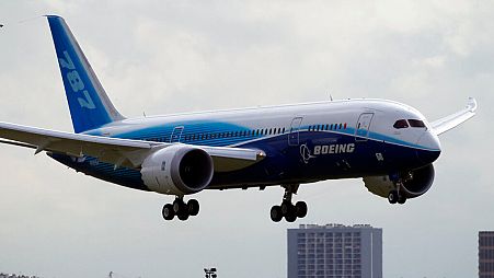 Boeing 787 Dreamliner yolcu uçağı (arşiv)