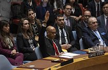 ABD Büyükelçi Yardımcısı Robert Wood, Birleşmiş Milletler Genel Merkezi'nde düzenlenen Güvenlik Konseyi toplantısı sırasında karar aleyhinde oy kullandı