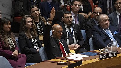 ABD Büyükelçi Yardımcısı Robert Wood, Birleşmiş Milletler Genel Merkezi'nde düzenlenen Güvenlik Konseyi toplantısı sırasında karar aleyhinde oy kullandı