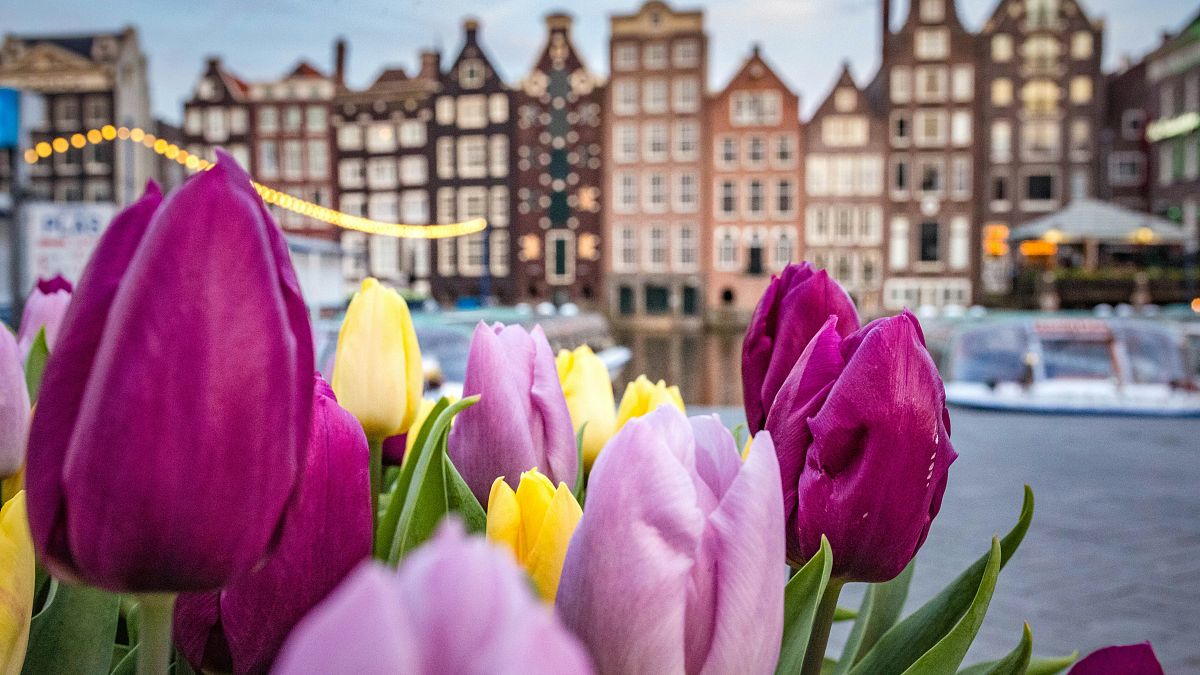 Amsterdam bans new hotels in latest measure to curb mass tourism