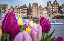The Dutch city is also limiting the number of overnight stays by tourists.