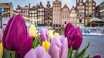 The Dutch city is also limiting the number of overnight stays by tourists.
