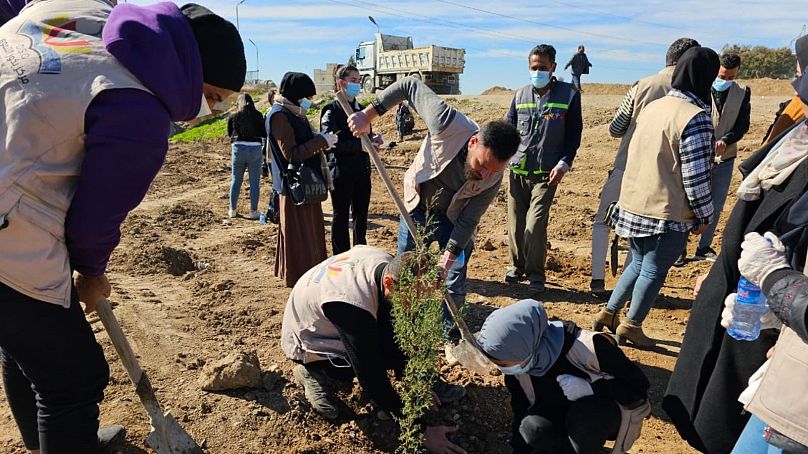 Volunteers planting seedlings in Haskah and Qamishli in northeast Syria following Turkish attacks.