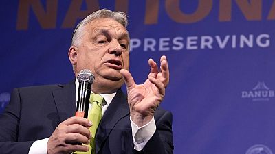 Ведущую роль в информировании венгерских избирателей о выборах в ЕП играют госСМИ, подконтрольные правительству, считают политологи. 