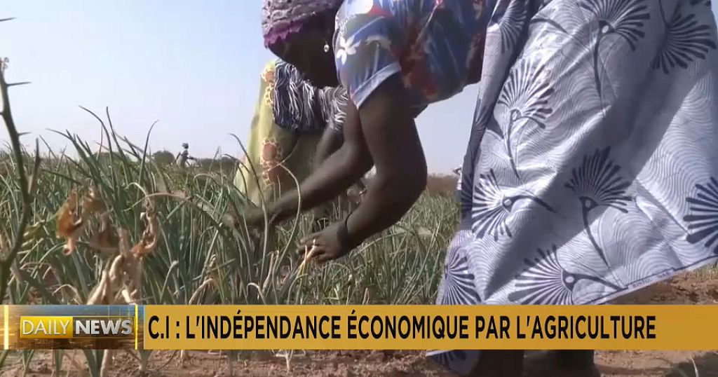 Côte d'Ivoire : l'indépendance financière des femmes par l'agriculture